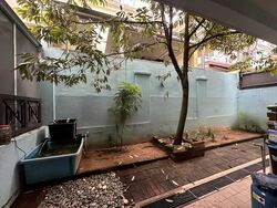 Rasok Drive (D25), Terrace #635524171